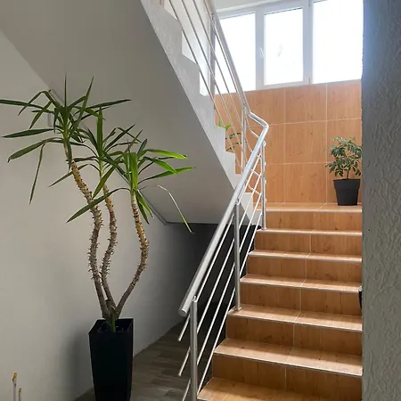 Braca Kovacevic Appartement *