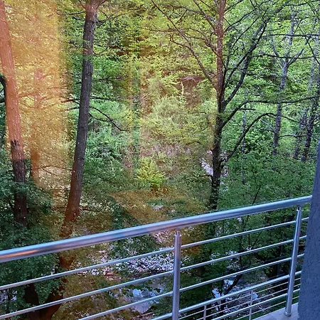 Apartment Braca Kovacevic *