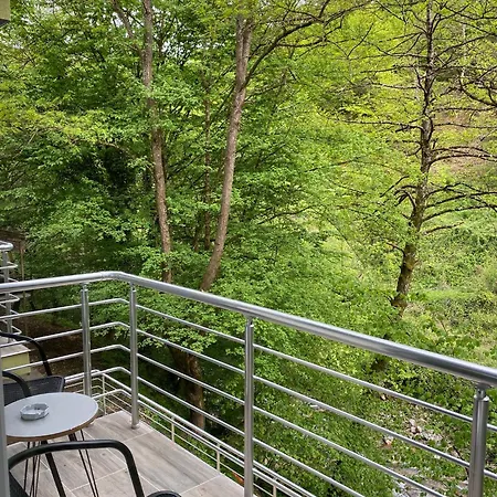 Apartment Braca Kovacevic