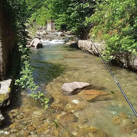 Braca Kovacevic فوتشا