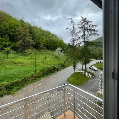 Braca Kovacevic فوتشا