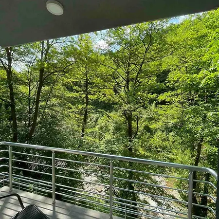 Braca Kovacevic * فوتشا