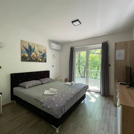 Apartment Braca Kovacevic *