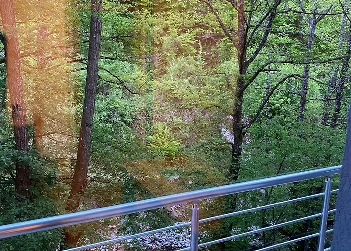 Apartmán Braca Kovacevic *