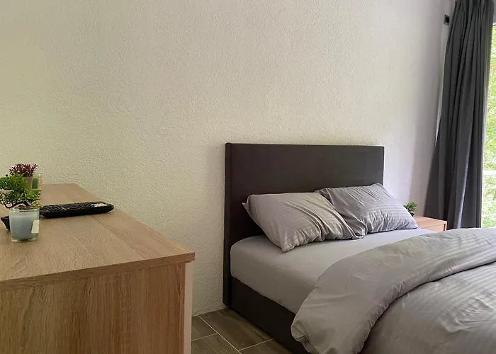 Braca Kovacevic فوتشا