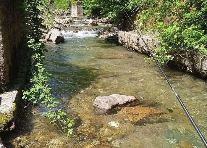 Braca Kovacevic Foca