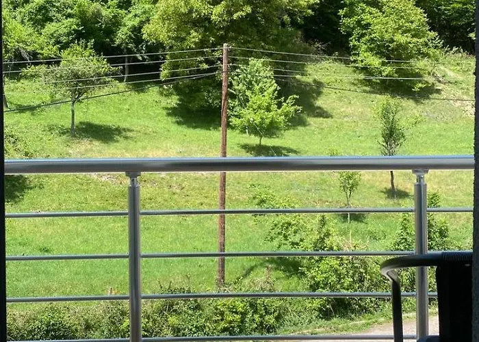 Braca Kovacevic Foca