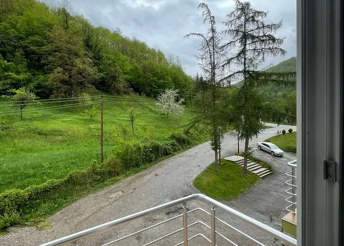 Braca Kovacevic Foca