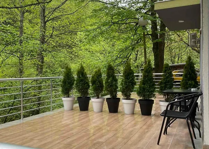 Braca Kovacevic * فوتشا