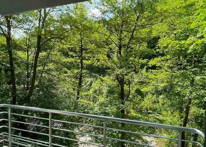 Braca Kovacevic * Foca