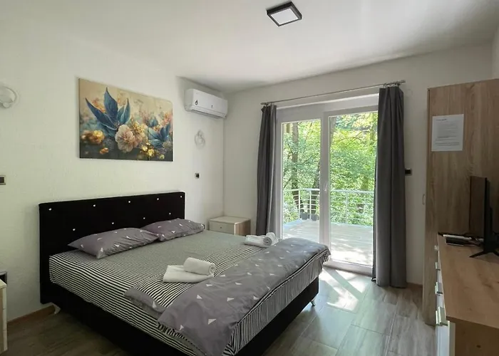 Apartmán Braca Kovacevic *