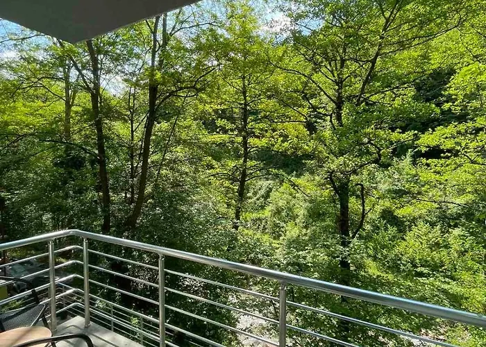 Braca Kovacevic Apartmán Foca